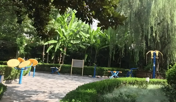深圳积分入户通知_董璇谈2任丈夫：从没想过会和高云翔离婚，张维伊敢娶我很勇敢 过会和高都住司宿舍平时在公
